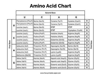 Amino Acid Chart
