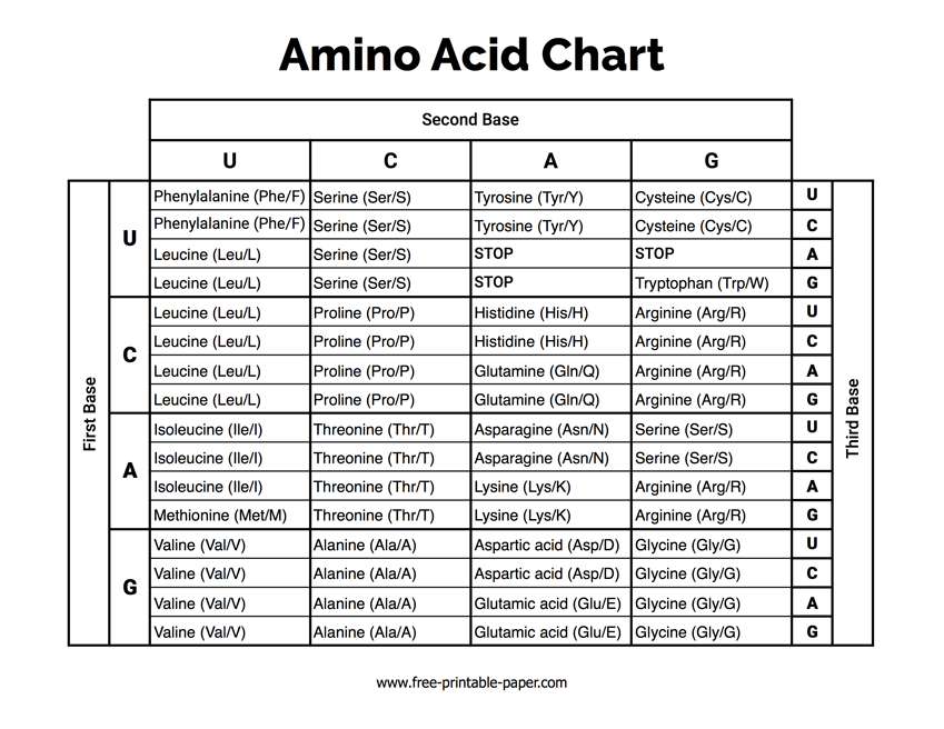  z Santigrat Derece Radyum Amino Acids Table Pdf Kad ns G z 